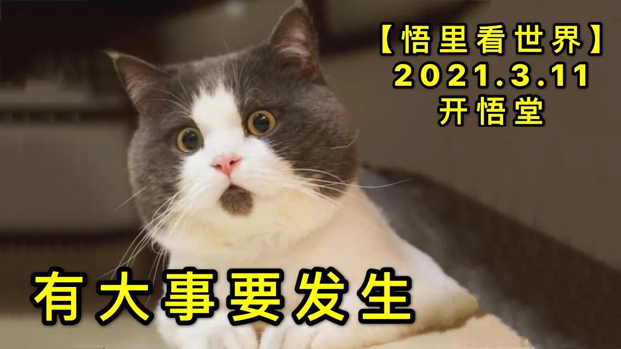 KWT1301有大事要发生20210311-2【悟里看世界】