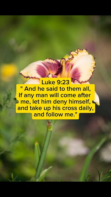 04/13/24 Scripture of the day