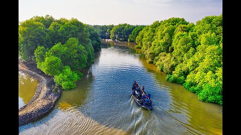 Kozhikode Beach: A Tranquil Paradise on the Malabar Coast"