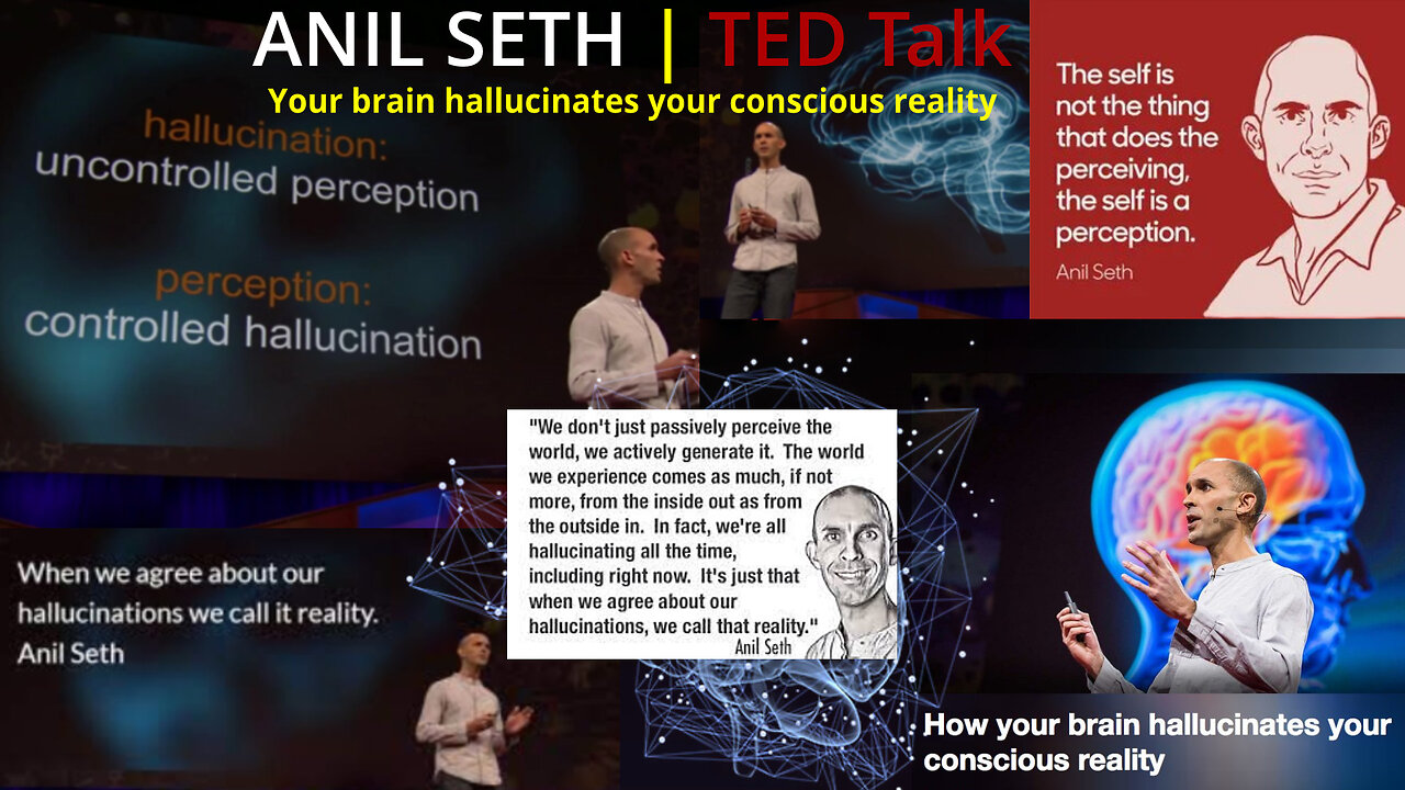 Anil Seth - Your brain hallucinates your conscious reality