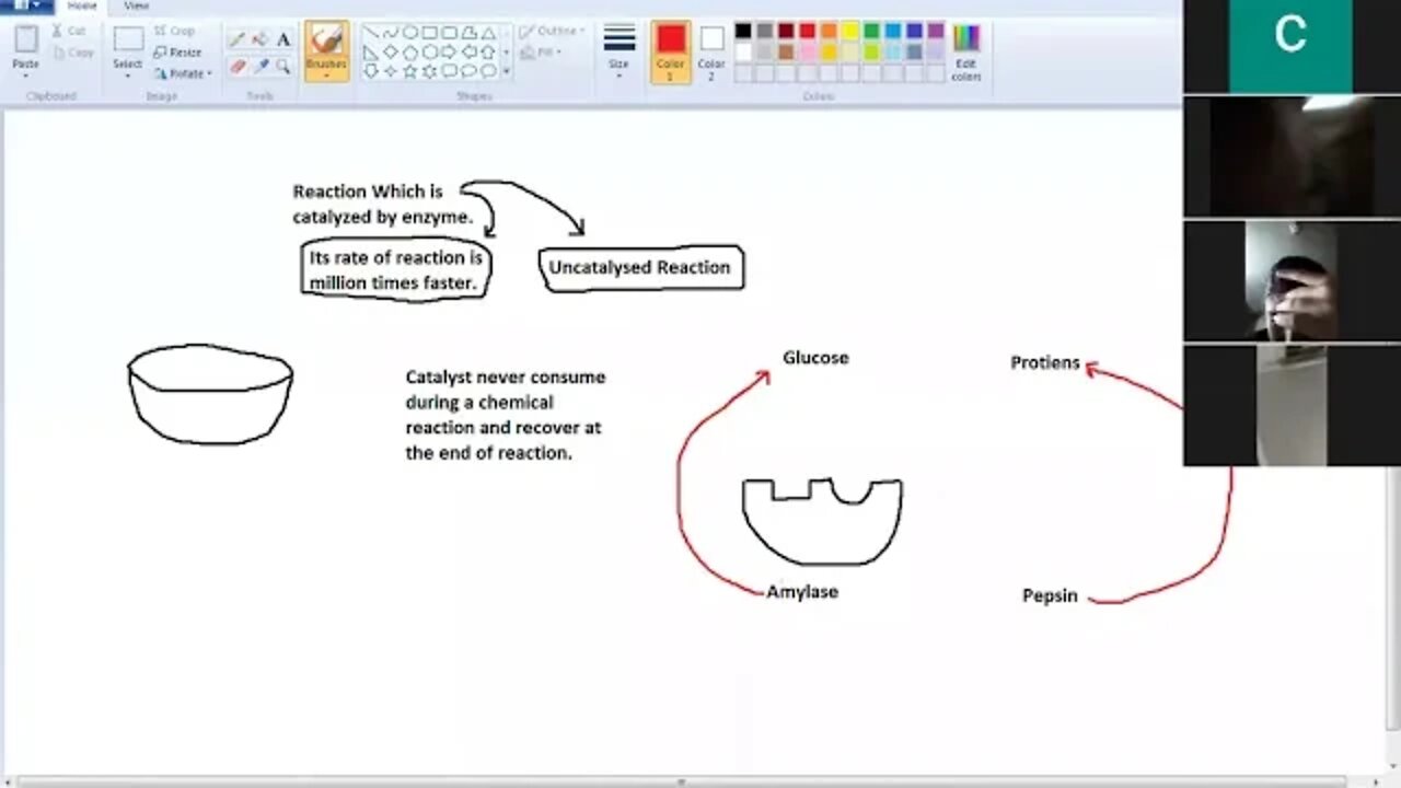 Class 9th Bio Characteristics of Enzymes P1