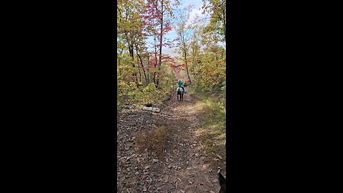 Beautiful and illustrious colors of Love Valley, NC trails 🎃❤️2023❤️🎃