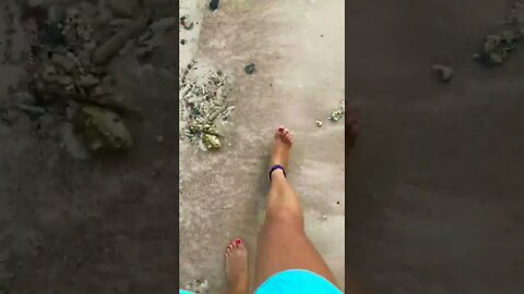 Lady Walking On Beach By The Sea