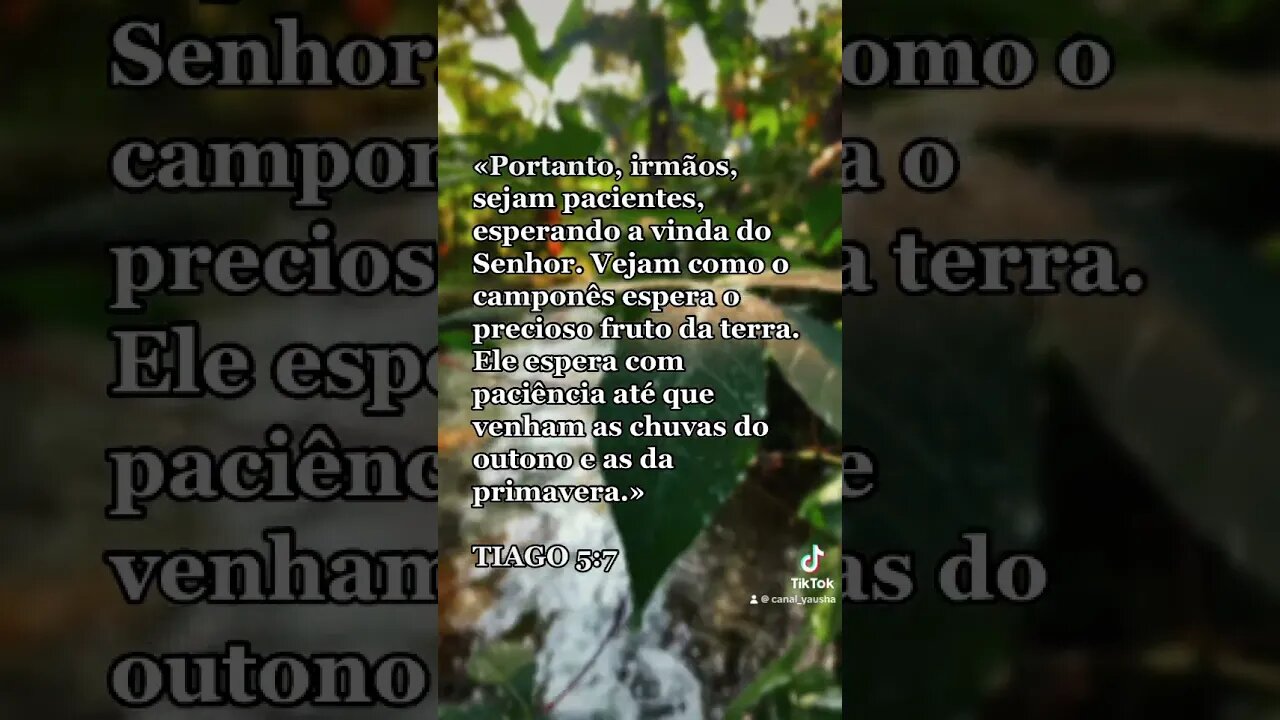 Tiago 5:7 #canalyausha