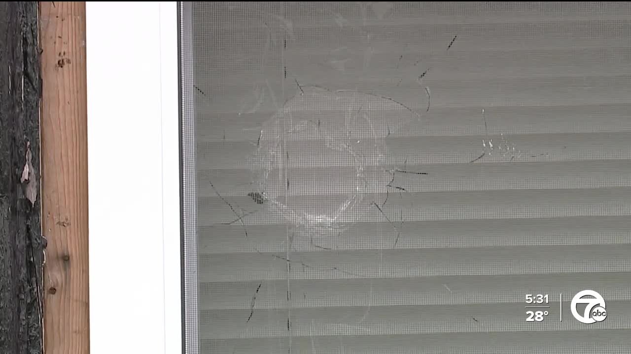 Detroiter seeks justice after dozens of bullets pierce home