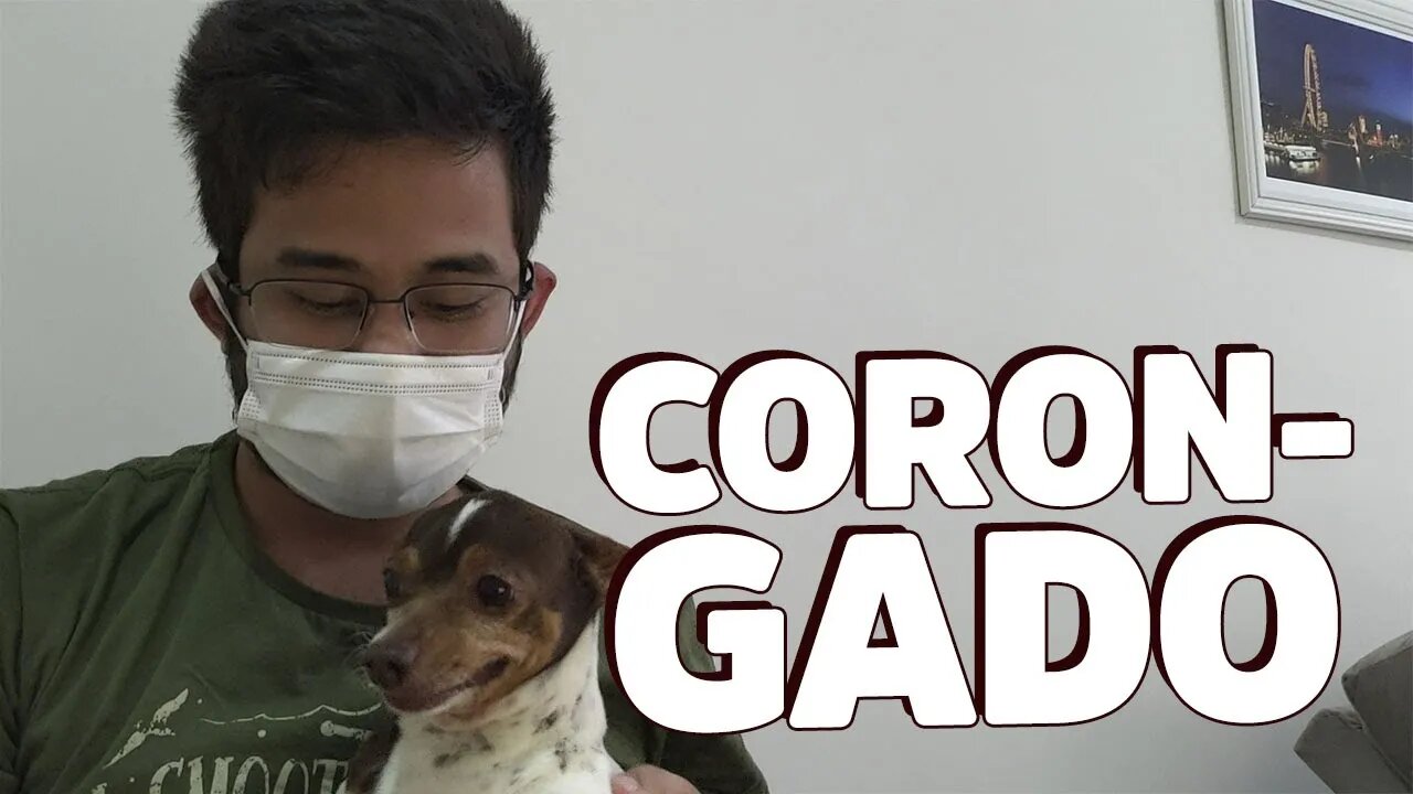Coronguei e meu cachorro foi internado