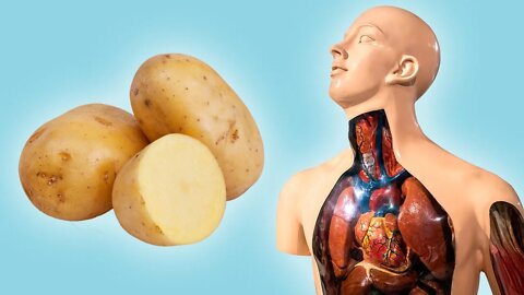 O QUE ACONTECE COM SEU CORPO QUANDO VOCÊ COME BATATAS (BENEFÍCIOS DA BATATA)