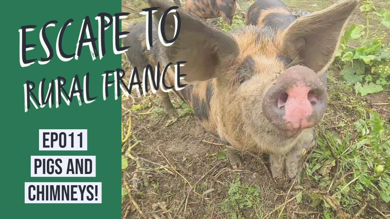 escape to rural france- pigs and chimneys EP011