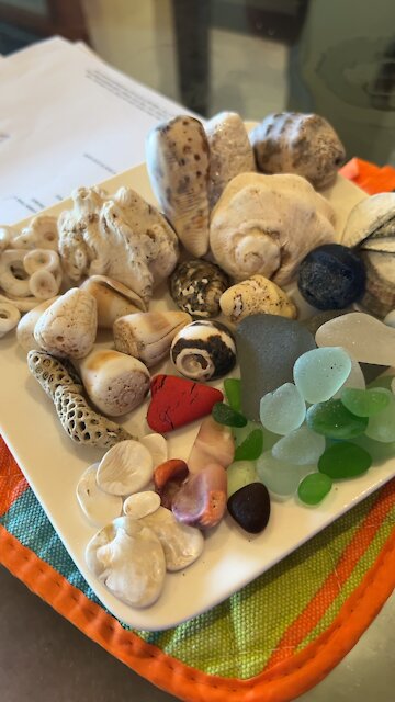 Went out to hidden beach yesterday for the first time in a month! 🌊🏝🐚