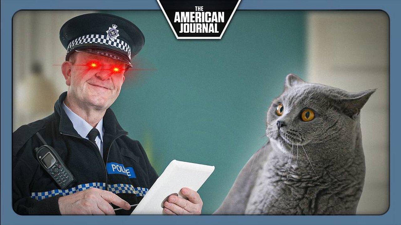 WTF: The UK Was Going To Kill All Pet Cats For Covid