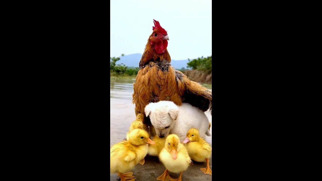 Great father love...