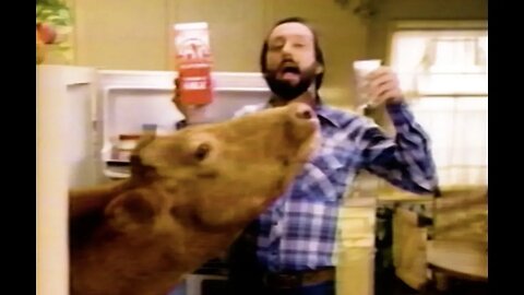 Ray Stevens - Flav-O-Rich Commercial (Cow In Fridge)