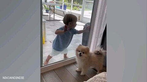 Dogs and Human cute Moments😍