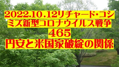 2022.10.13 リチャード・コシミズ新型コロナウイルス戦争４６５