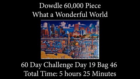 60,000 Piece Challenge What a Wonderful World Jigsaw Puzzle Time Lapse - Day 18 Bag 42!