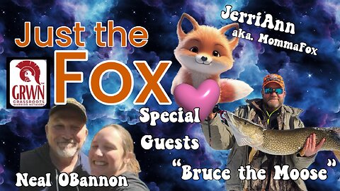 Just the Fox Ep. 12 - Armor UP!! What is Mockingbird Media, Gaslighting