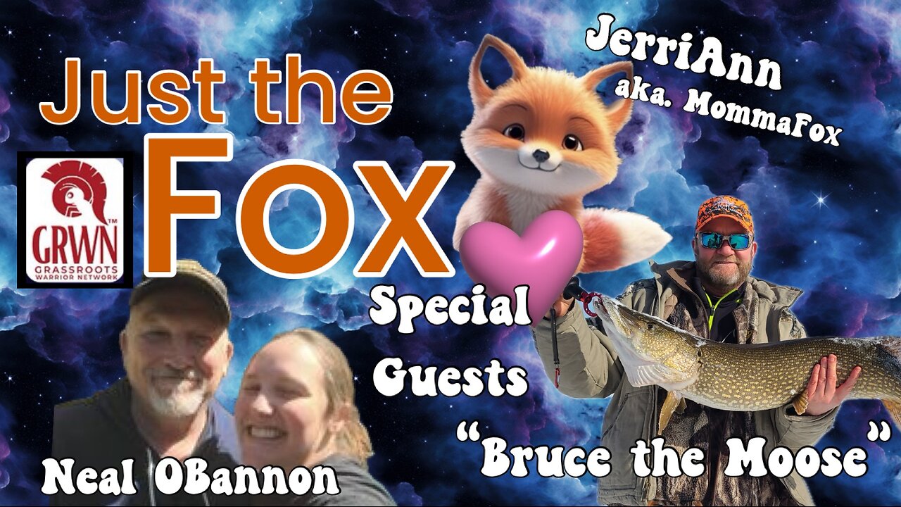 Just the Fox Ep. 12 - Armor UP!! What is Mockingbird Media, Gaslighting