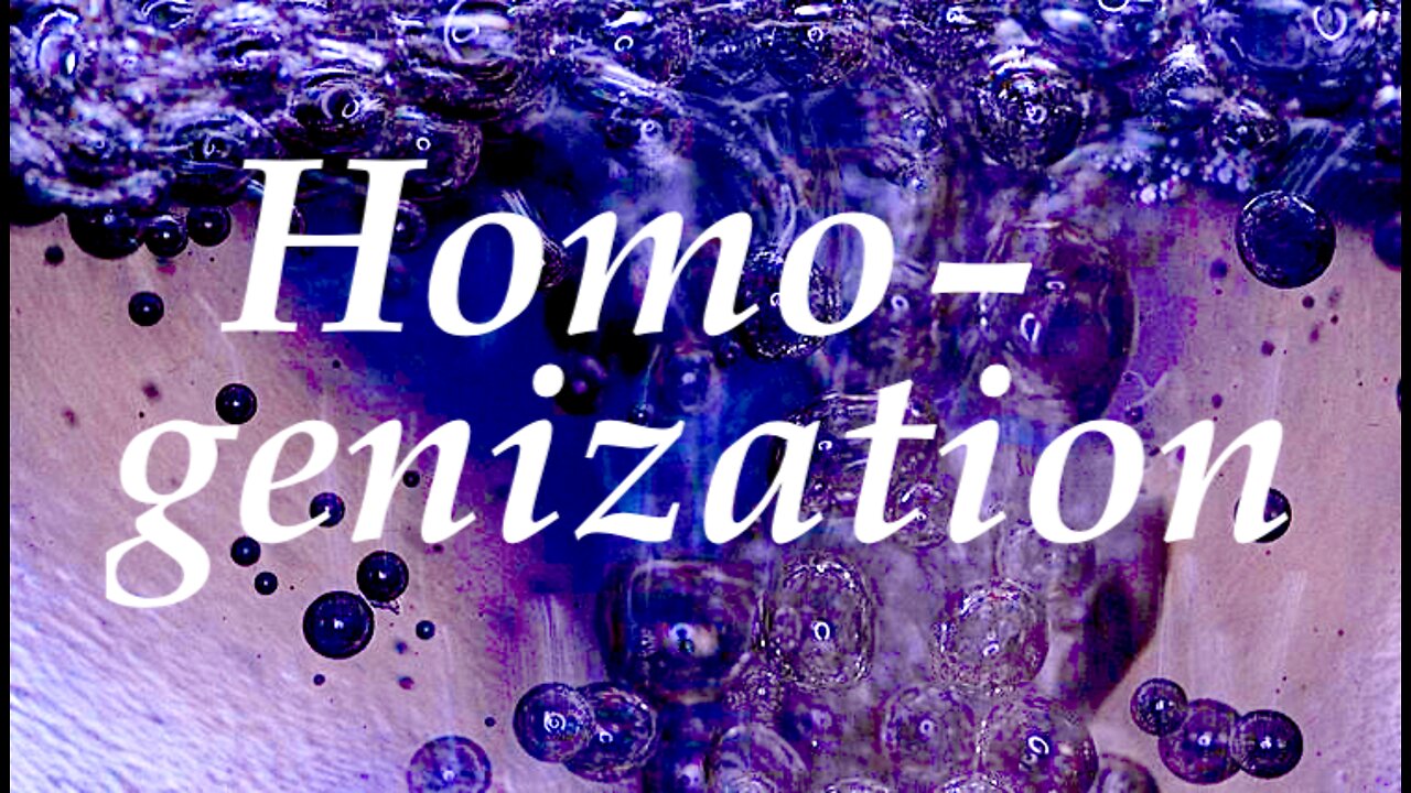 The Jesuit Vatican Shadow Empire 232 - Homogenization!