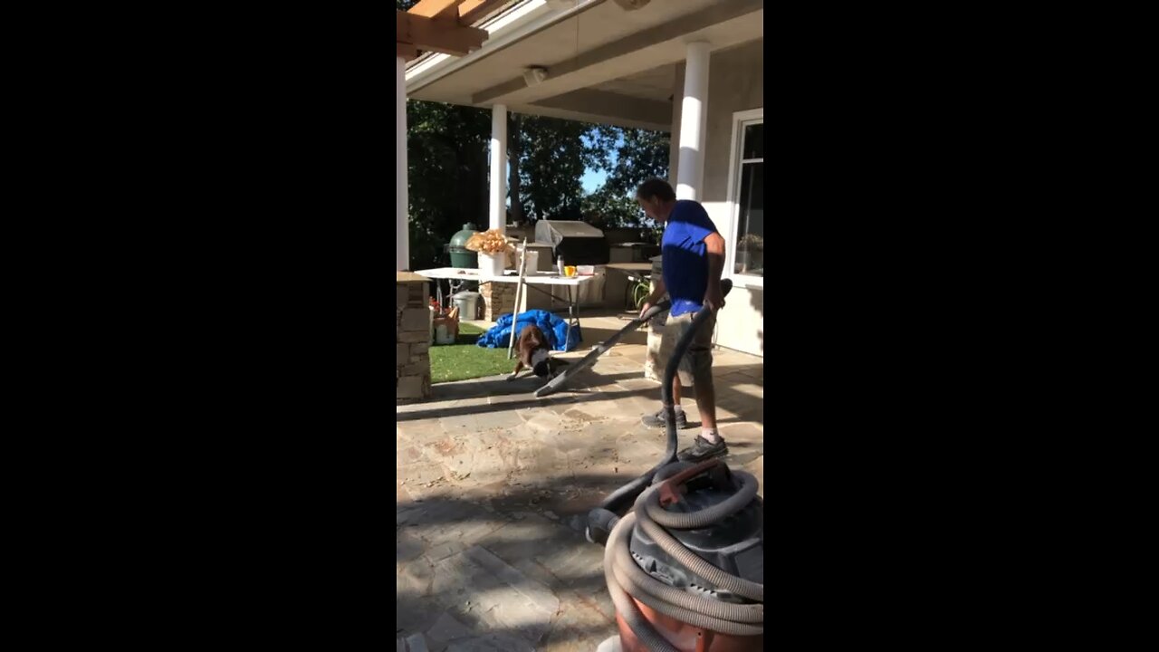 Vacuum Vs Coco #1