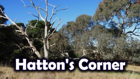Hatton's Corner