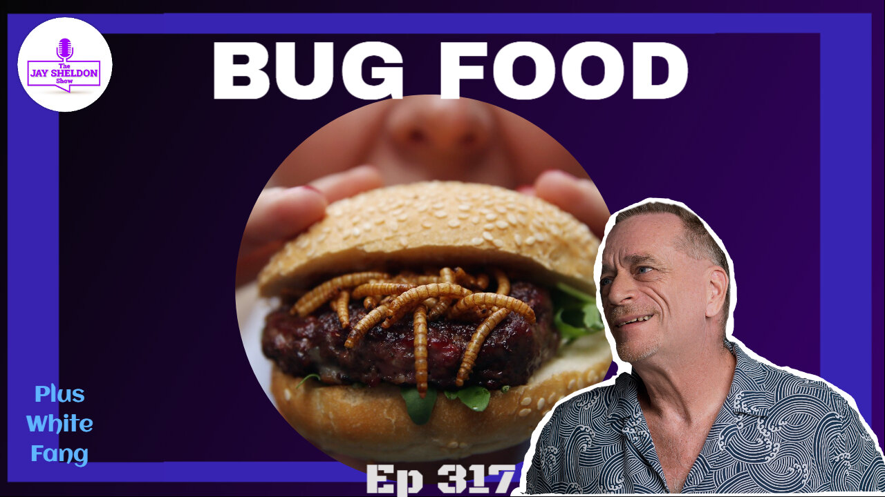 Bug Food!