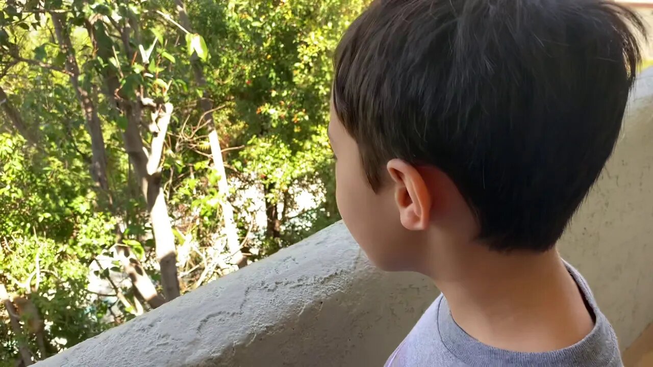 Daddy and The Big Boy (Ben McCain and Zac McCain) Episode 317 Fatman Squirrel and Daddy's Shoes