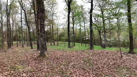 Homestead site 2