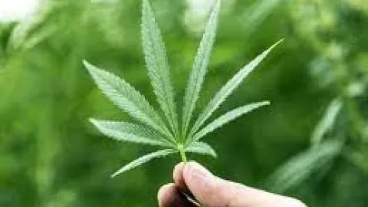 Coffee with a Gamer: High Times 4/20