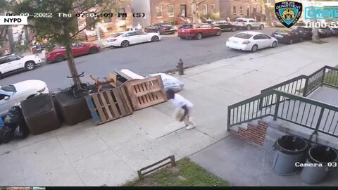 Shocking video shows man brazenly open fire on Brooklyn street