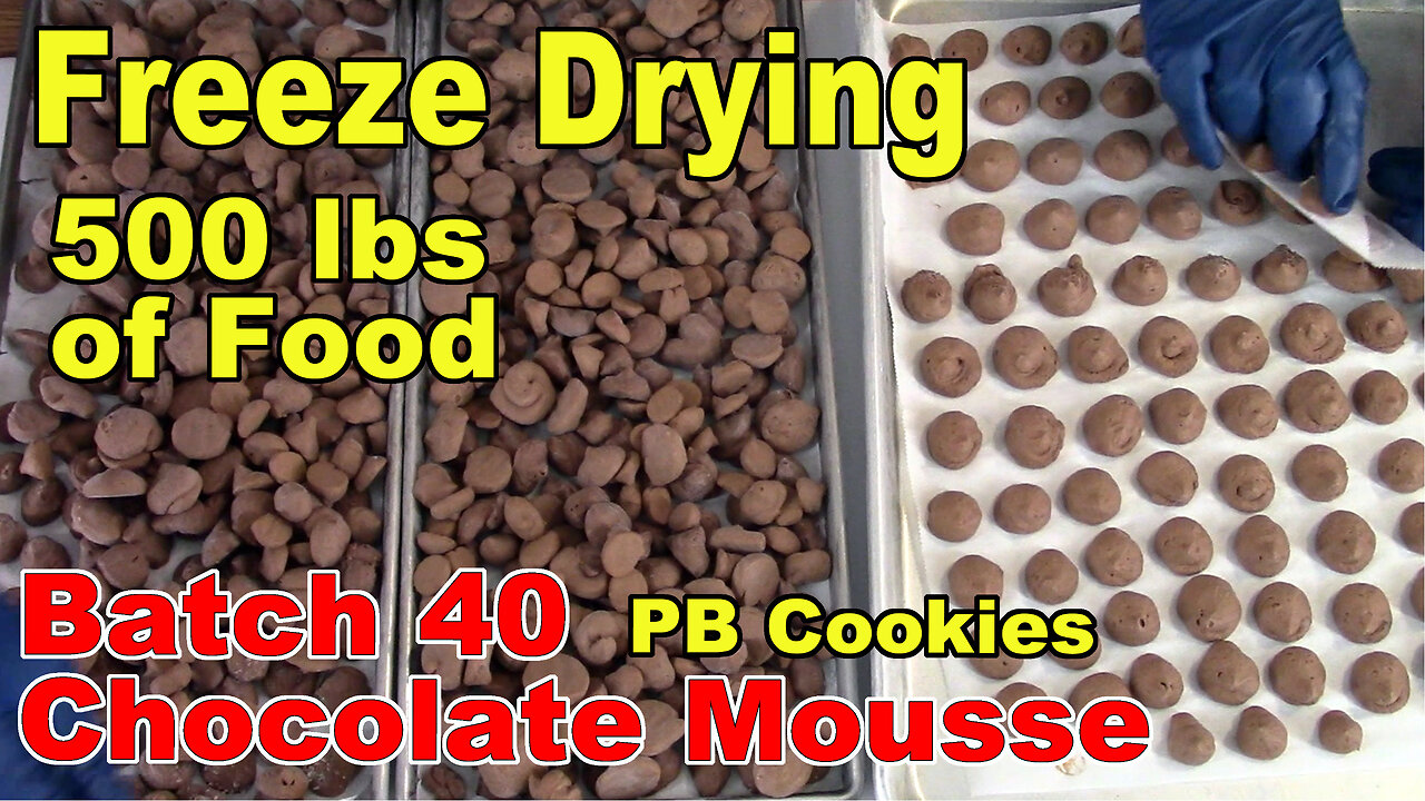 Freeze Drying Your First 500 lbs of Food - Batch 40 - Chocolate Mousse & PB Chocolate Chip Cookies