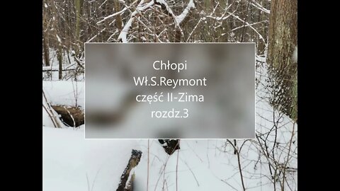 Chłopi -Wł.S.Reymont część II - Zima rozdz.3