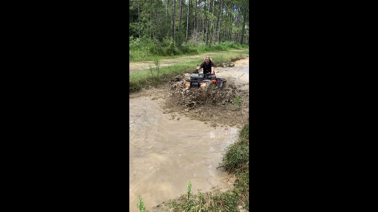 Stock Honda lil puddle