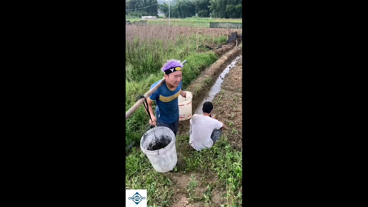 #viral funny videos chaines comedy 🤣😂 funny @viral 🤣 short video #plsesupport and follow