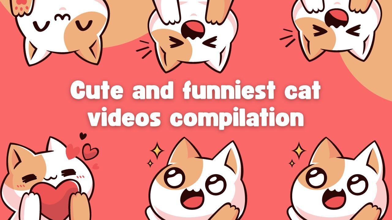 New Funny Animals 2023 😍😁 Funniest Cats and Dogs Videos 😹🐶