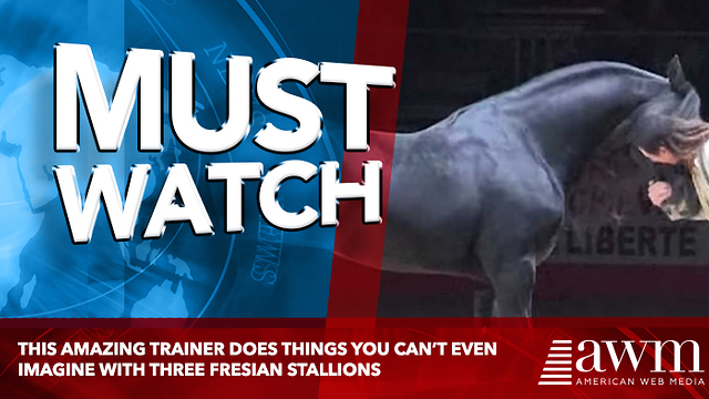 This Amazing Trainer Does Things You Can't Even Imagine With Three Friesian Stallions