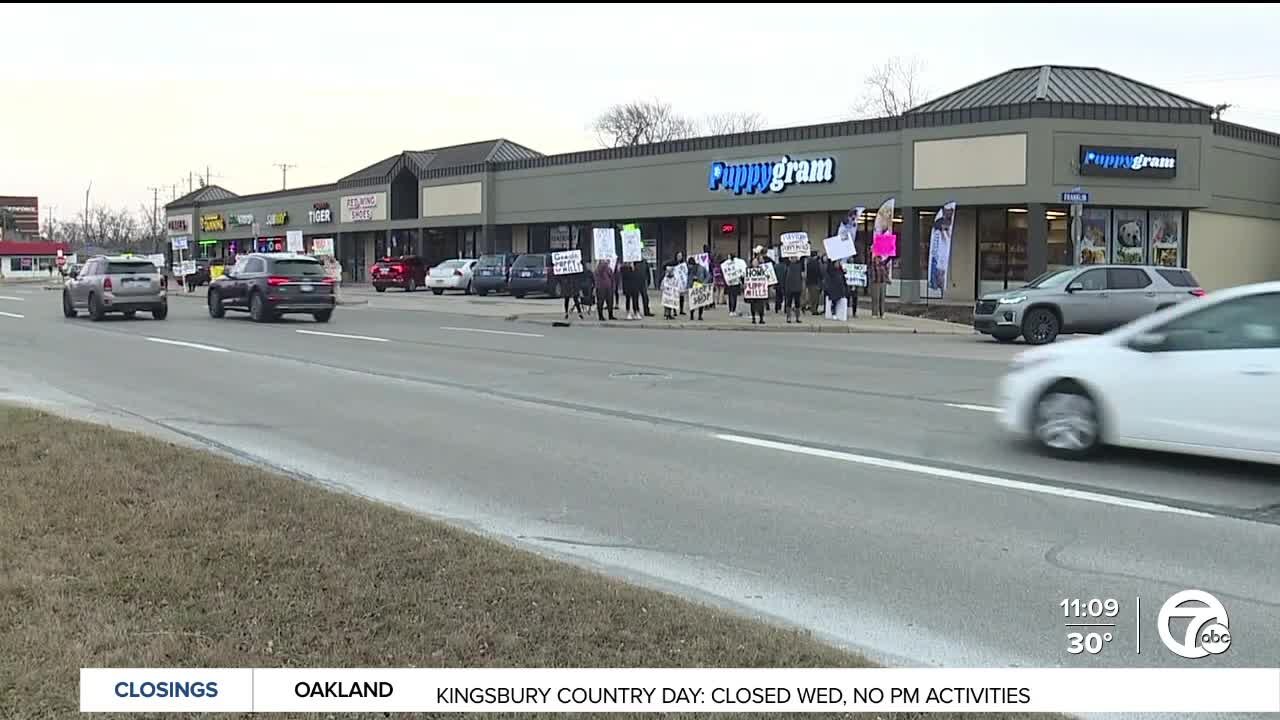 New retail puppy store in Berkley shut down for not having business license