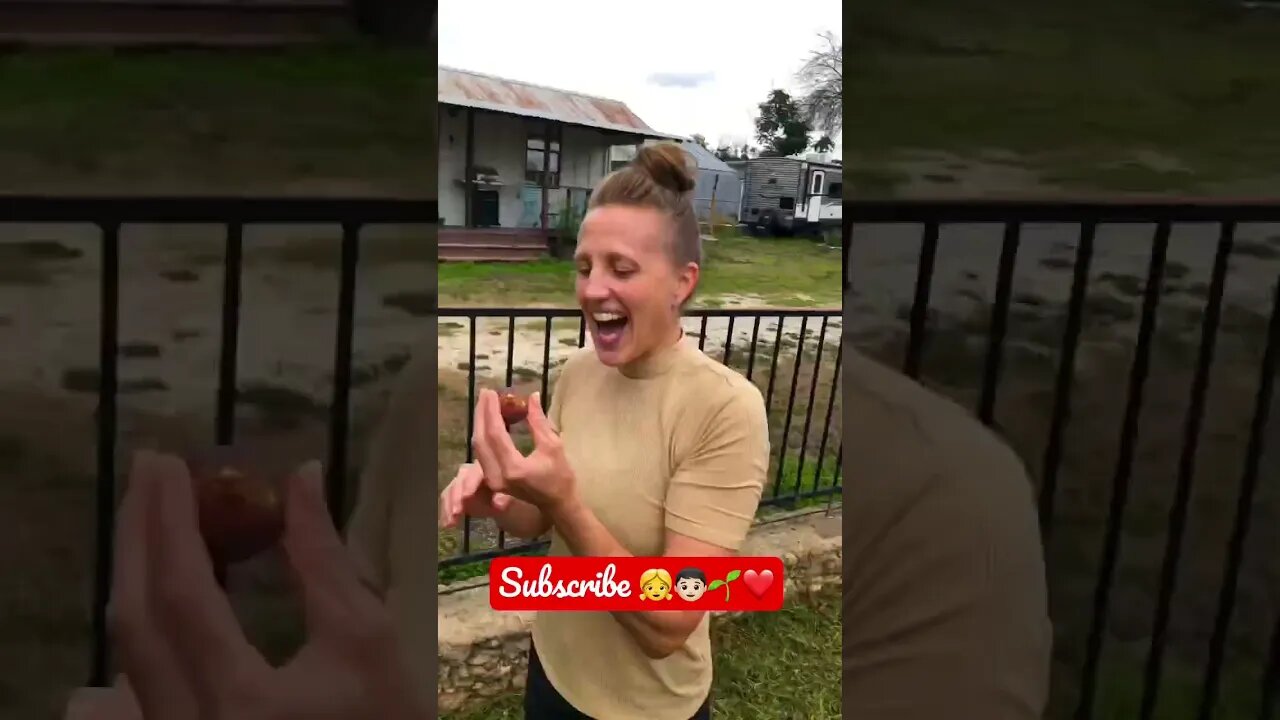 DO YOU Know what this superfood is that we’re SUPER EXCITED TO HARVEST? 🤔🌱 #shorts #viral #tiktok