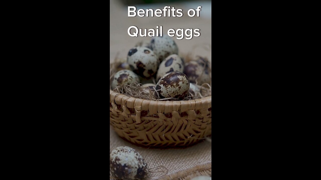 Quail Eggs