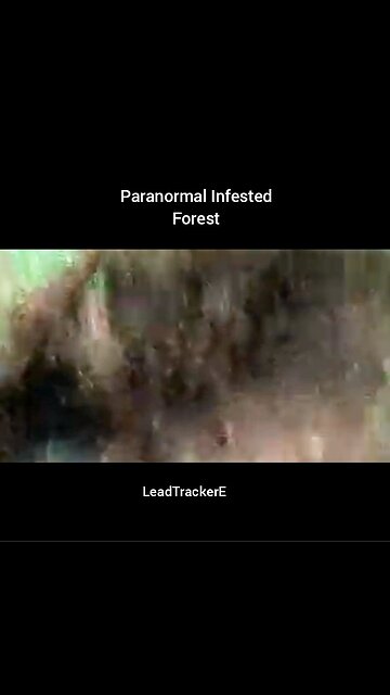 Paranormal Infested Forest- LeadTrackerE