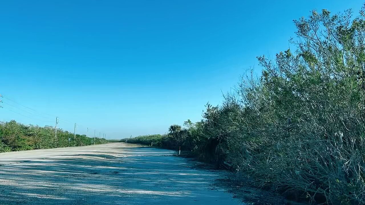 Livestream Replay - Drive From Big Hickory Pass To Fort Myers Beach 5+ Weeks After Ian