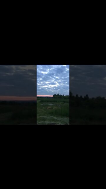 Ukrainian Maverick Top Gun #shorts #army #war #russiaukrainewar #airforce