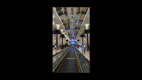 Dubai market view best video