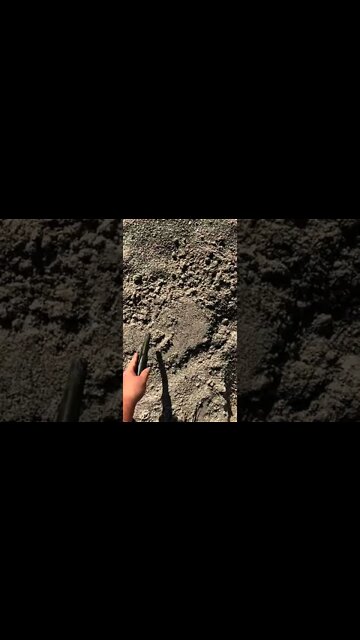 silver at the beach metal detecting #shorts