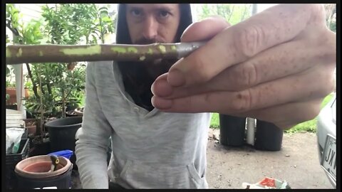Let's Do A Project 🙂 | Mystery School