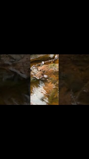 Water creating a whirlpool in a stream