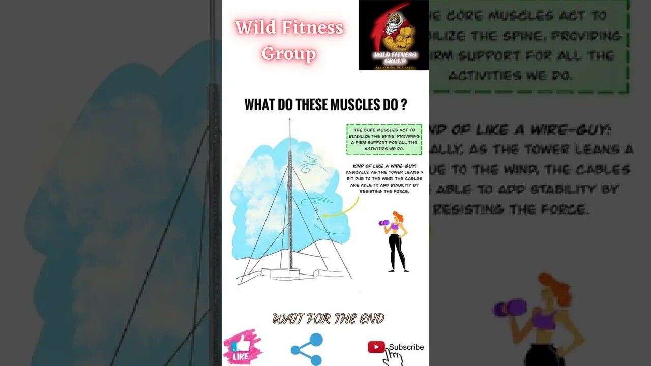 🔥What do these muscles do🔥#shorts🔥#wildfitnessgroup🔥22 June 2022🔥