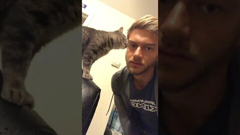 Pulled a fast one on my cat