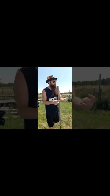 The Great Reset #wef #ohhighbud #skitsbystrangedanimal