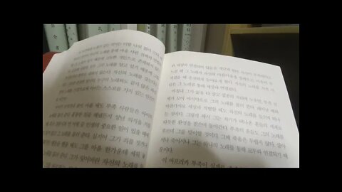 새는 날아가면서 뒤돌아보지 않는다, 류시화, 나의 노래는, 잘못 산 인생은없다, 동굴속여인의 일화,아름다움, 영적스승, 오래들고 있을수록 물병처럼 무게를 더한다, 현존, 궁극적신비