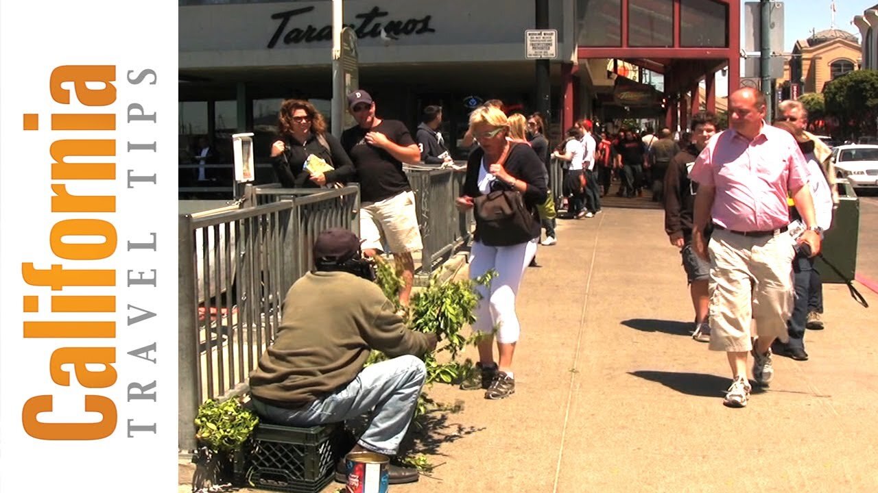 The Bush Man of Fisherman's Wharf, San Francisco | California Travel Tips